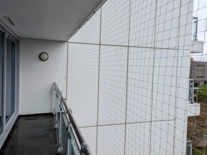 Pigeon Control London - Bird Netting Installation