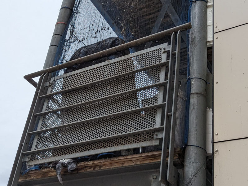 Pigeon Control London - pigeons on Balcony London