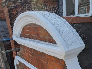 Installation of Bird Spikes on Curved Roof to Prevent Pigeons Roosting in London