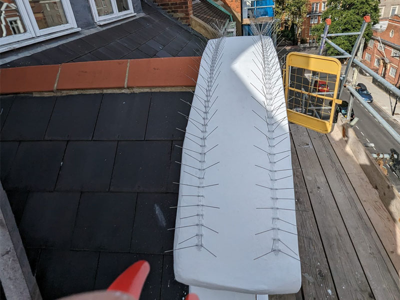 Installation of New Bird Spikes on Roof to Prevent Pigeons Roosting in London